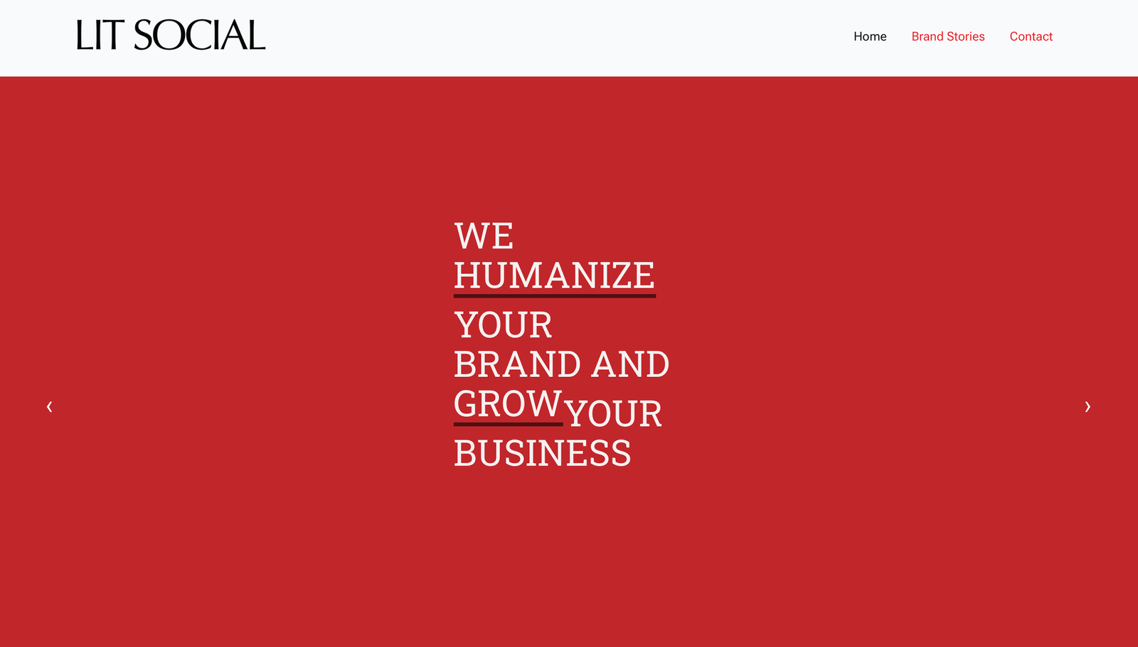 Company Profile project screenshot